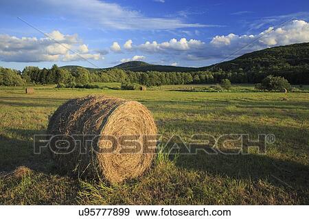 Stock Photo - Hay bale in field in agricultural landscape. Fotosearch