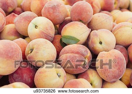 Heap of peaches View Large Photo Image Stock Photograph - Heap of peaches. Fotosearch