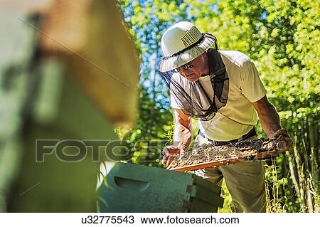 Hope, Beekeeper holding honeycomb View Large Photo Image Stock Image - Hope, Beekeeper holding honeycomb. Fotosearch