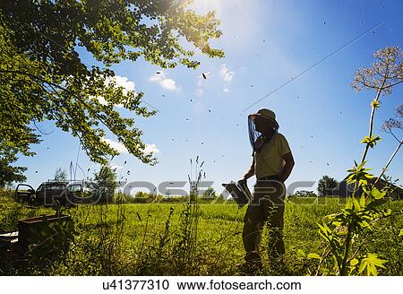 Hope, Beekeeper standing with smoker View Large Photo Image Stock Image - Hope, Beekeeper standing with smoker. Fotosearch