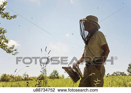 Hope, Beekeeper with smoker View Large Photo Image Stock Image - Hope, Beekeeper with smoker. Fotosearch