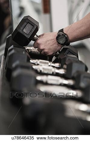 Man picking up dumbbells in health club View Large Photo Image Stock Photography - Man picking up dumbbells in health club. Fotosearch