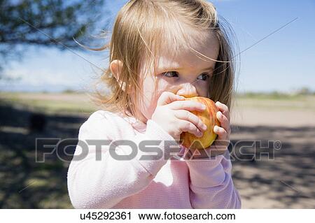 Portrait of girl (2-3) eating apple View Large Photo Image Stock Image - Portrait of girl (2-3) eating apple. Fotosearch