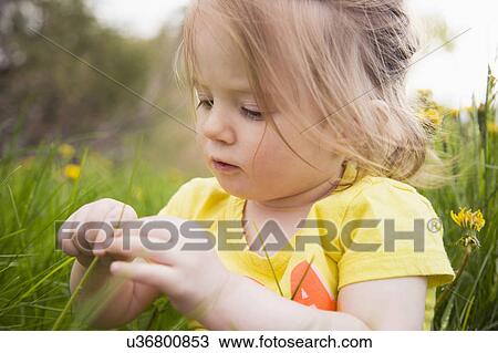 Portrait of girl (2-3) playing in grass View Large Photo Image Stock Image - Portrait of girl (2-3) playing in grass. Fotosearch