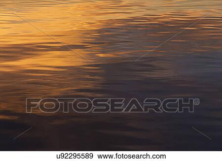 Rippled water reflecting golden light View Large Photo Image Stock Photo - Rippled water reflecting golden light. Fotosearch