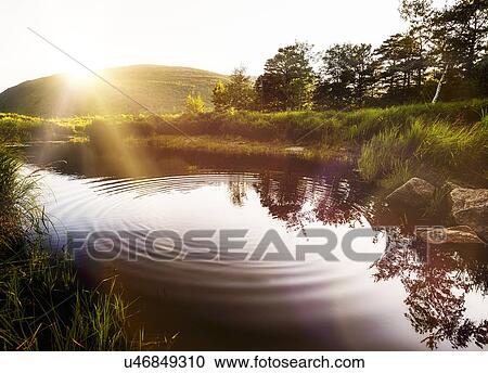 Ripples on pond in Acadia National Park View Large Photo Image Stock Image - Ripples on pond in Acadia National Park. Fotosearch