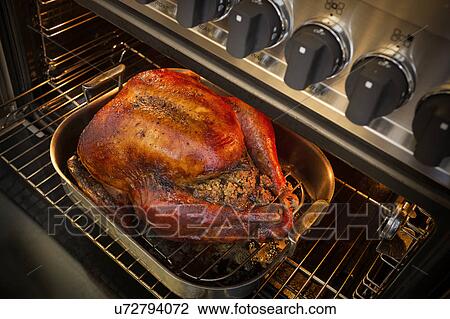 Stock Image - Roasted turkey for Thanksgiving in open oven. Fotosearch