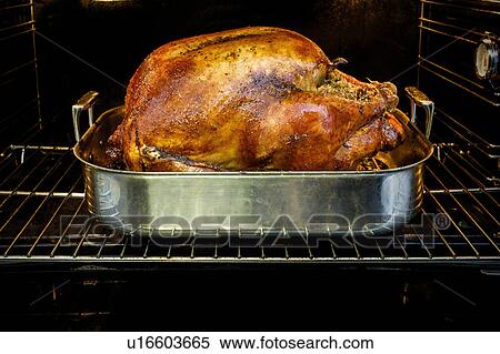 Stock Photography - Roasted turkey for Thanksgiving in oven. Fotosearch