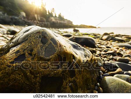 Rocks and pebbles on beach at sunrise View Large Photo Image Stock Image - Rocks and pebbles on beach at sunrise. Fotosearch