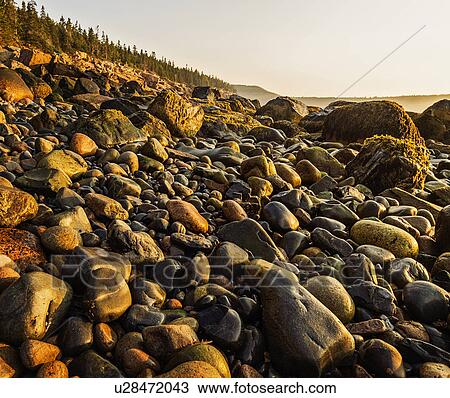 Rocks on beach at sunrise View Large Photo Image Stock Image - Rocks on beach at sunrise. Fotosearch