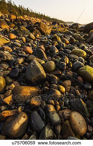 Stock Photo - Rocks on beach at sunrise. Fotosearch