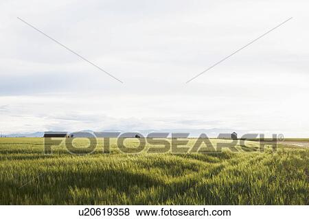 Stock Photo - Scenic rural landscape. Fotosearch