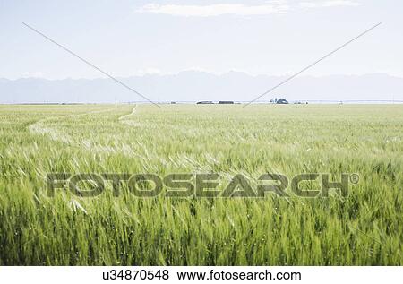 Scenic rural landscape View Large Photo Image Stock Photo - Scenic rural landscape. Fotosearch