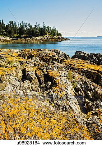 Picture - Sea with rocky coastline. Fotosearch