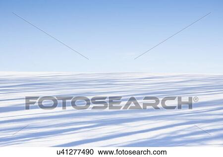 Stock Image - Shadows on snowy field. Fotosearch