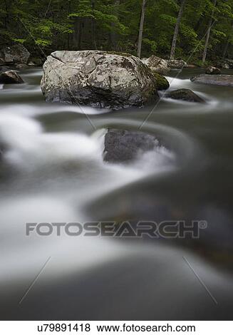 Stock Photo - Stream with boulder in middle in forest. Fotosearch