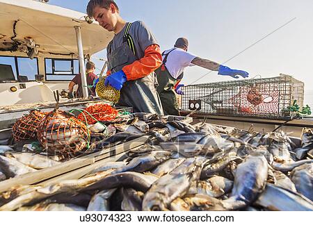 Three fishermen working on boat View Large Photo Image Stock Image - Three fishermen working on boat. Fotosearch