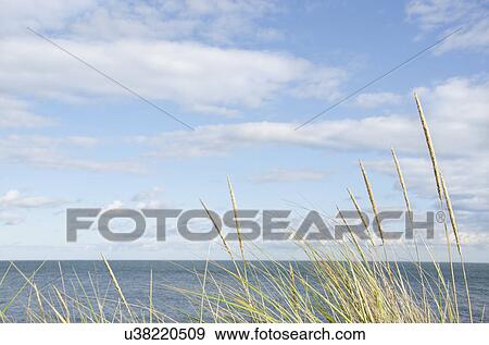 Tranquil seascape View Large Photo Image Stock Photo - Tranquil seascape. Fotosearch