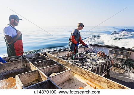 Two fishermen cleaning boat View Large Photo Image Stock Image - Two fishermen cleaning boat. Fotosearch