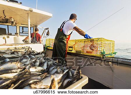 Two fishermen throwing lobster traps View Large Photo Image Stock Photography - Two fishermen throwing lobster traps. Fotosearch