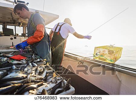 Stock Image - Two fishermen working on boat. Fotosearch