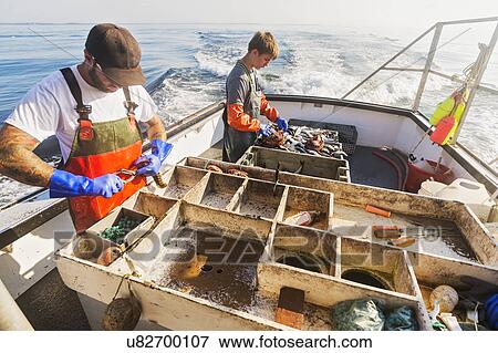 Two fishermen working on boat View Large Photo Image Stock Photo - Two fishermen working on boat. Fotosearch
