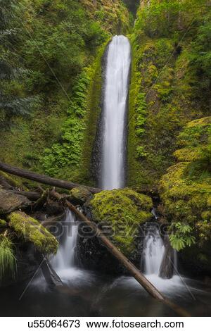 Stock Image - Waterfall among moss overgrown rocks. Fotosearch