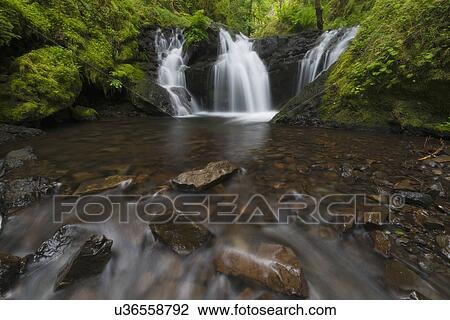 Waterfalls in green forest View Large Photo Image Stock Image - Waterfalls in green forest. Fotosearch