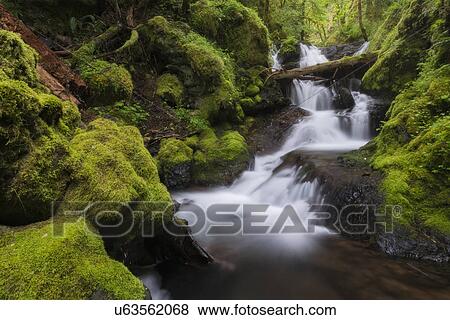 Stock Photo - Waterfalls in green forest. Fotosearch