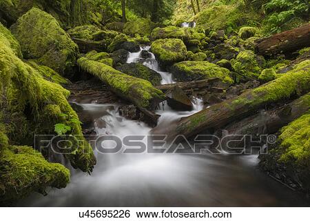 Stock Photograph - Waterfalls in green forest. Fotosearch