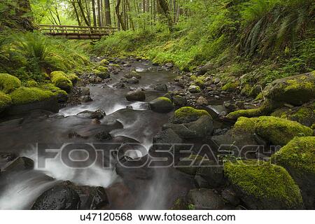 Stock Photo - Waterfalls in green forest with footbridge in background. Fotosearch