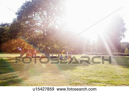 Adults friends sitting under a tree at sunset party in park View Large Photo Image Stock Photo - Adults friends sitting under a tree at sunset party in park. Fotosearch