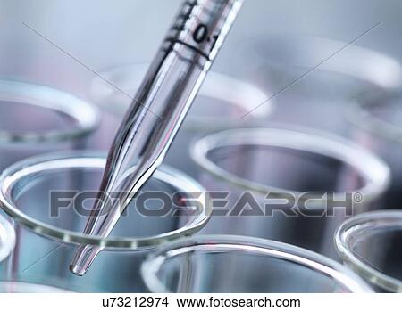 Close up of graduated pipette pipetting liquid into test tube View Large Photo Image Picture - Close up of graduated pipette pipetting liquid into test tube. Fotosearch