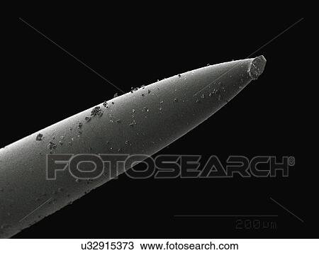 Coloured SEM of acupuncture needle View Large Photo Image Stock Image - Coloured SEM of acupuncture needle. Fotosearch
