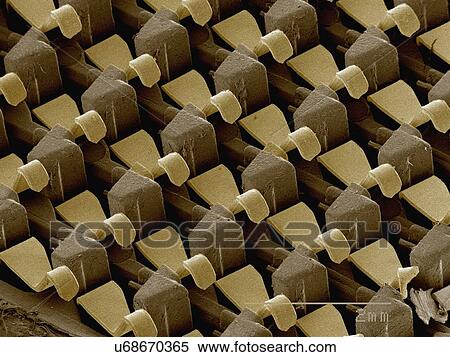 Stock Photography - Coloured SEM of computer part. Fotosearch