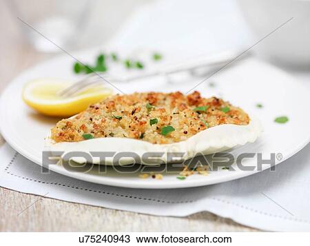 Crab gratin View Large Photo Image Stock Image - Crab gratin. Fotosearch