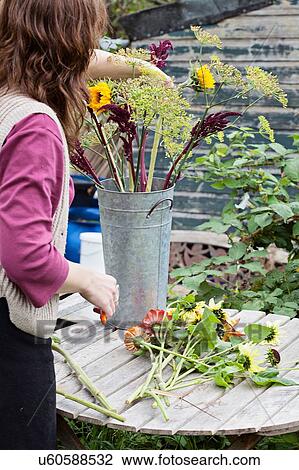 Stock Image - Cropped view of mature woman arranging fresh flowers at allotment. Fotosearch