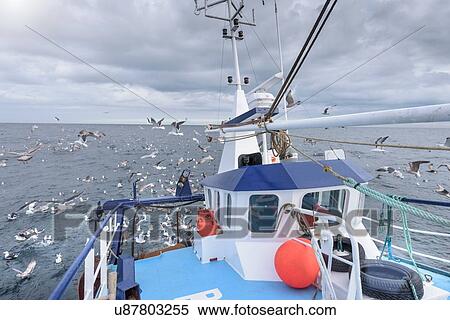 Deck view of fishing trawler with seagulls at sea View Large Photo Image Stock Photography - Deck view of fishing trawler with seagulls at sea. Fotosearch