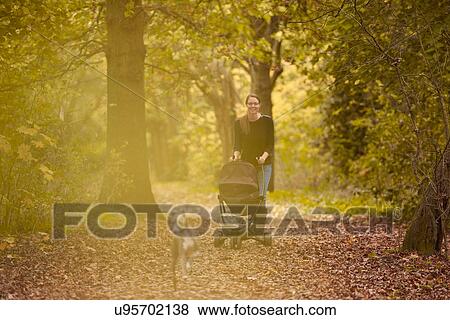Stock Photo - Dog running in front of mid adult mother pushing baby carriage in autumn park. Fotosearch