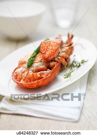Dressed canadian lobster View Large Photo Image Stock Photo - Dressed canadian lobster. Fotosearch