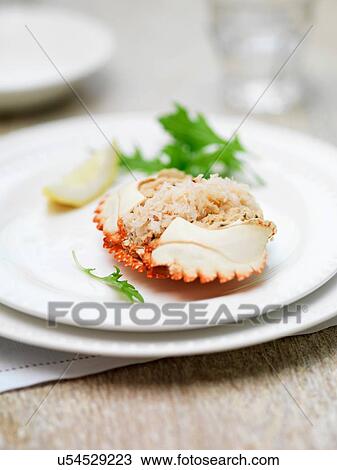 Stock Image - Dressed orkney crab, mini gratins. Fotosearch