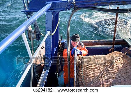 Stock Image - Fisherman bringing in catch on trawler. Fotosearch