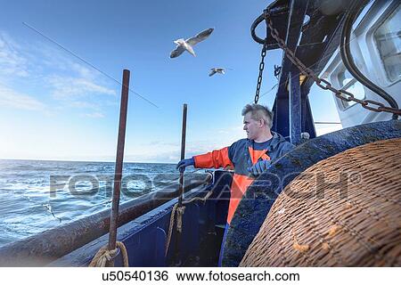 Fisherman looking out to sea on trawler View Large Photo Image Stock Photograph - Fisherman looking out to sea on trawler. Fotosearch