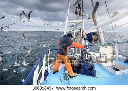 Fisherman operating winch on deck of trawler View Large Photo Image Stock Photo - Fisherman operating winch on deck of trawler. Fotosearch