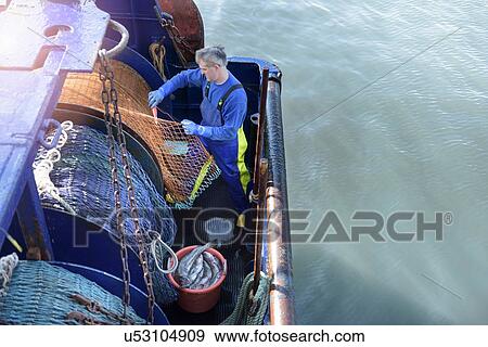 Stock Photo - Fisherman preparing net on trawler, high angle view. Fotosearch