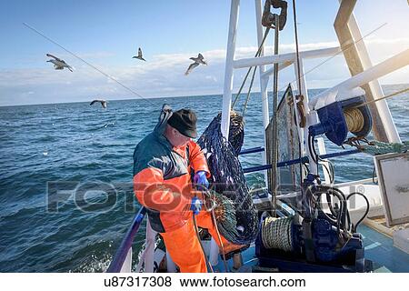 Fisherman preparing nets on trawler View Large Photo Image Stock Photo - Fisherman preparing nets on trawler. Fotosearch