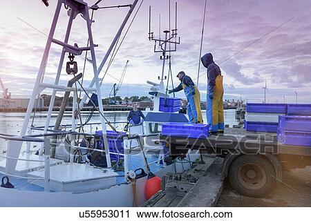 Stock Image - Fishermen unloading fish from trawler at dusk. Fotosearch