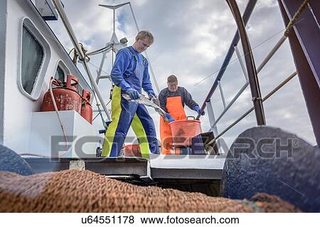Fishermen with catch of fish on deck of trawler View Large Photo Image Stock Photo - Fishermen with catch of fish on deck of trawler. Fotosearch