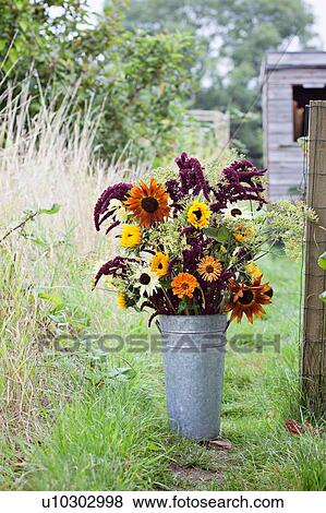 Stock Photo - Flower bouquet in bucket at garden allotment. Fotosearch