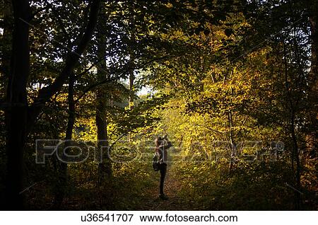 Full length side view of young woman in forest looking up using binoculars, Worcestershire, UK View Large Photo Image Stock Photo - Full length side view of young woman in forest looking up using binoculars, Worcestershire, UK. Fotosearch